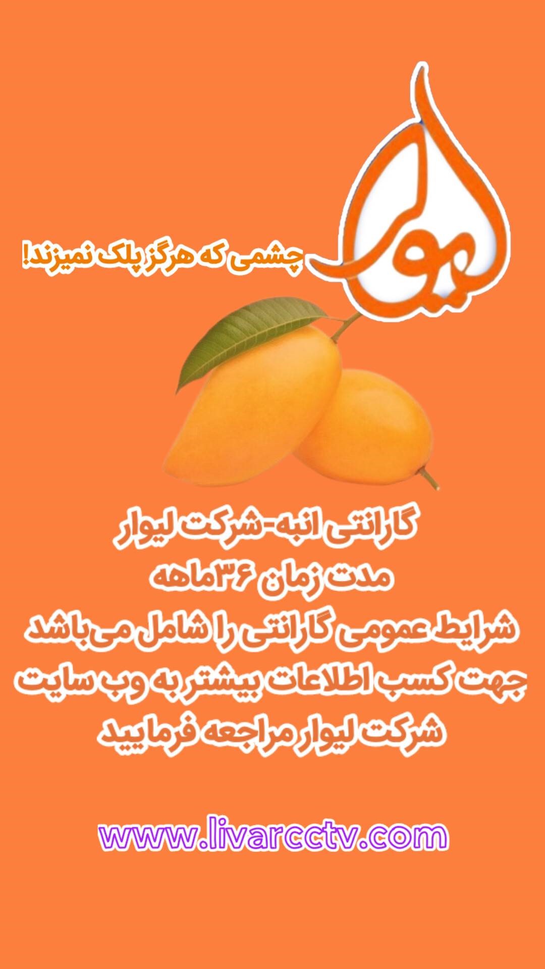 گارانتی لیوار